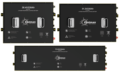 Eastman golf cart batteries 